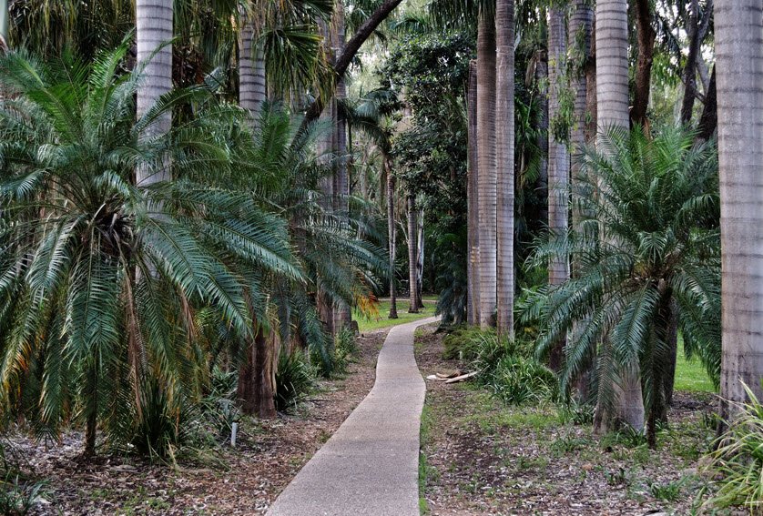 Emerald Botanic Gardens, Australia